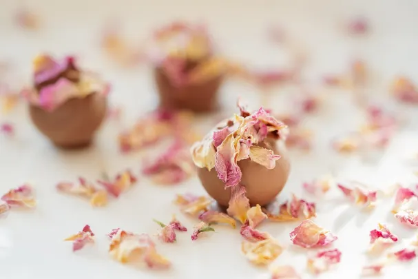 אוטו קסינו קזינו אפליקציית Android/iOS